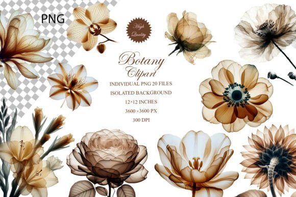 Beige Botanicals: 20 Elegant Clipart Elements for Designers