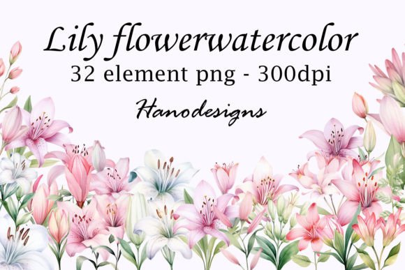 Timeless Beauty with Lily Flower Watercolor Design Assets