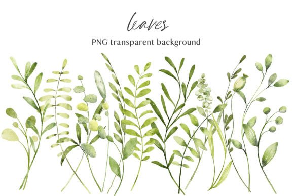 Watercolor Leaves Clipart: A Versatile Set for Designers and Crafters